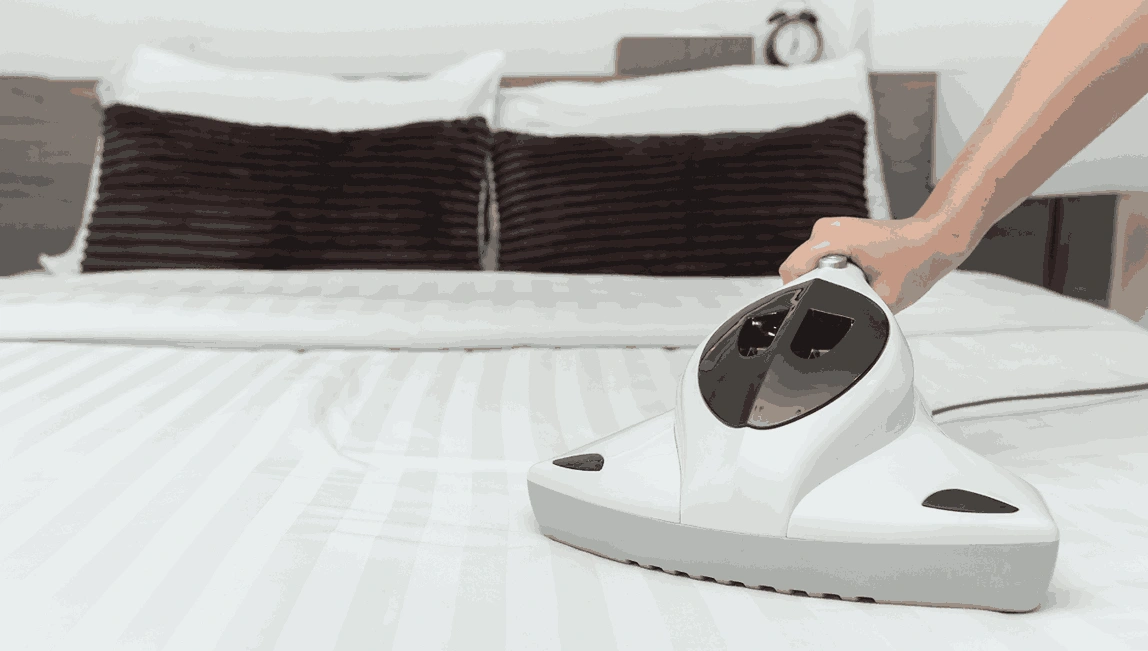 Professional Mattress Cleaning Lilydale